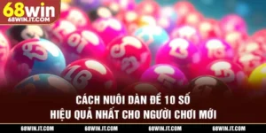 Cách nuôi dàn đề 10 số