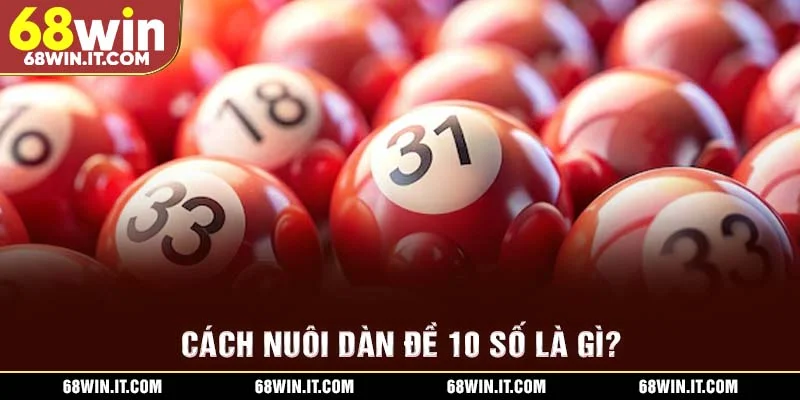 Cách nuôi dàn đề 10 số